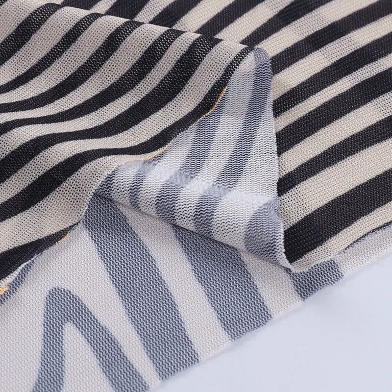 BerryBetty - Autumn Mesh Zebra Striped Sets Women 2 Piece Suit T-shirt   Long Pants See-through Sexy Co-ord Set Female Tracksuit Costume