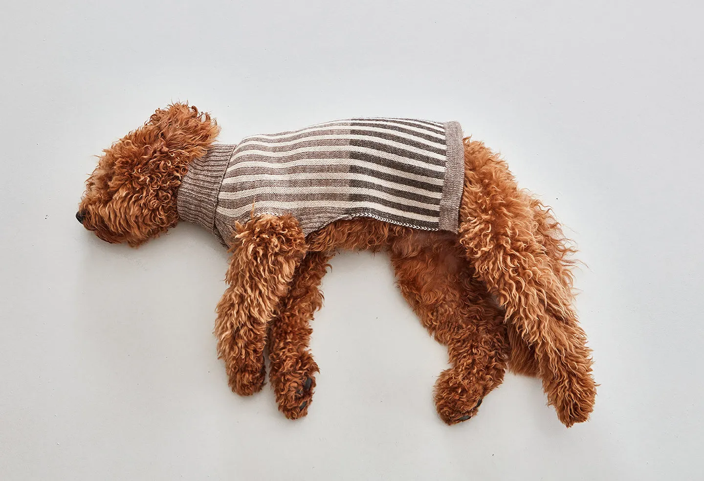 【PRE-ORDER】Filippo Dog Sweater