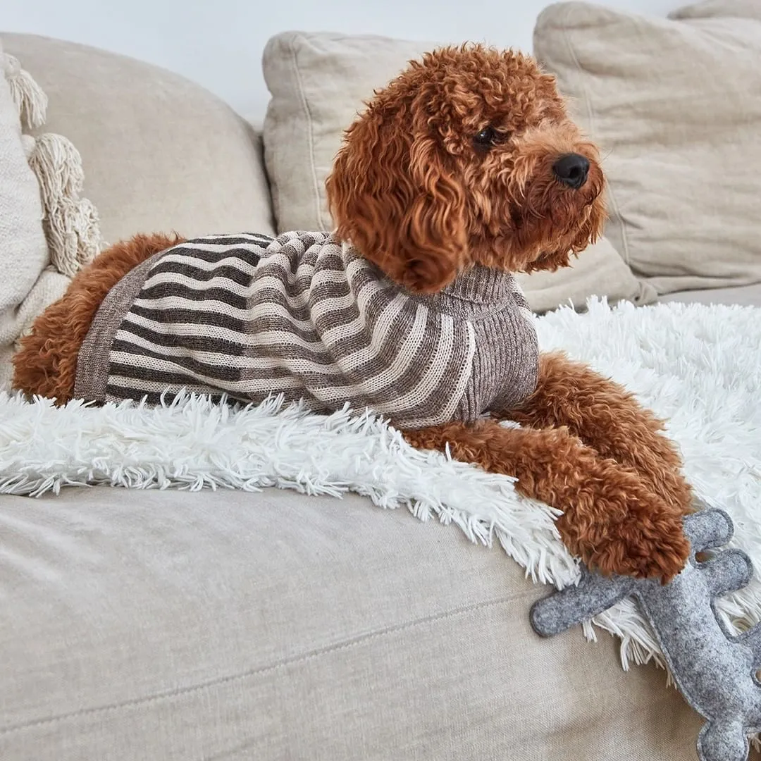 【PRE-ORDER】Filippo Dog Sweater
