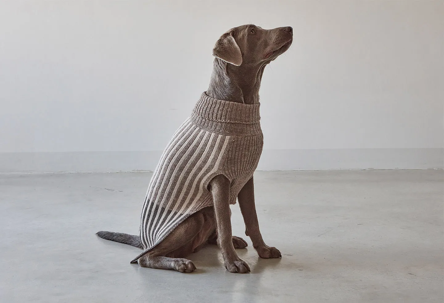 【PRE-ORDER】Filippo Dog Sweater