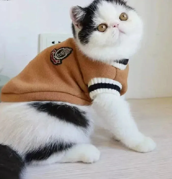 UniPaw Sweater