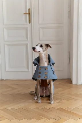 Water-repellent Dog Trench Coat - Light Blue